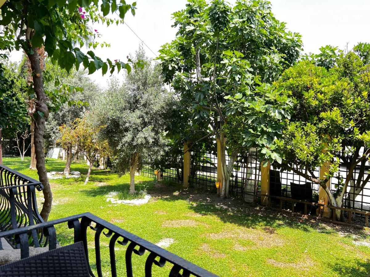 Han Boutique Hotel سَريغيرمه المظهر الخارجي الصورة